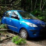 A blue car trapped under fallen trees in a post-storm scene in the UK.